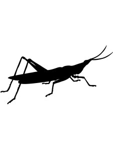 Grasshopper Stencil 7