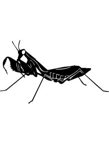 Grasshopper Stencil 8