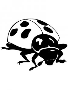 Ladybug Stencils 2
