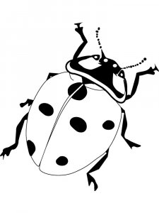 Ladybug Stencils 7