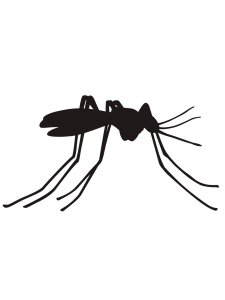 Mosquito Stencil 10