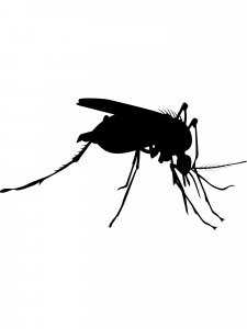 Mosquito Stencil 11