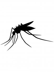Mosquito Stencil 12
