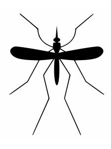 Mosquito Stencil 4