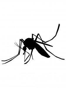 Mosquito Stencil 5