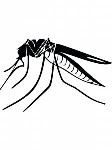 Mosquito Stencil 6