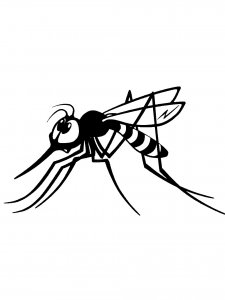 Mosquito Stencil 7