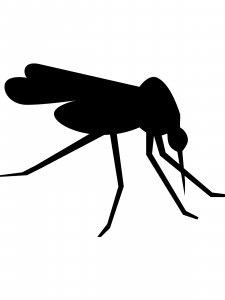 Mosquito Stencil 8
