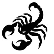Pochoirs Scorpion