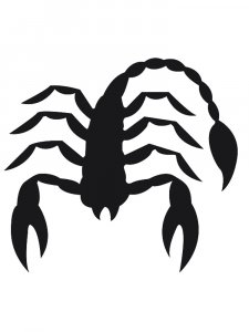 Scorpion Stencils 18