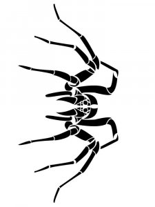 Spider Stencils 21