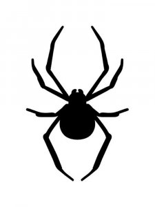 Spider Stencils 6