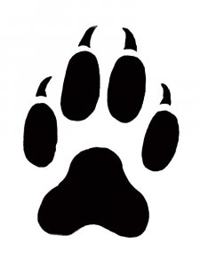 Paw Stencil 7
