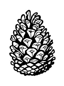 Pine Cone Stencil 10