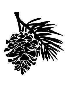 Pine Cone Stencil 12
