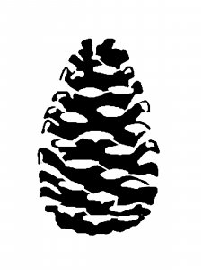 Pine Cone Stencil 2