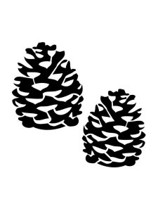 Pine Cone Stencil 4