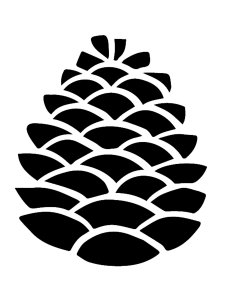 Pine Cone Stencil 5