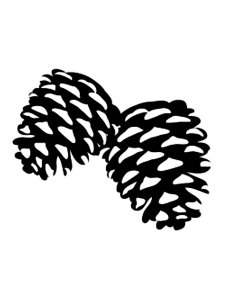 Pine Cone Stencil 9