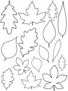 Leaf Stencils 12