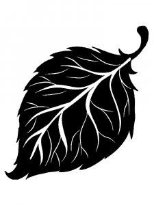 Leaf Stencils 22