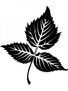 Leaf Stencils 24