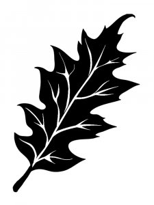 Leaf Stencils 28
