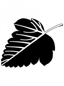 Leaf Stencils 29