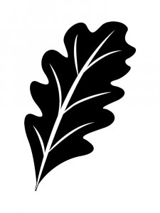 Leaf Stencils 30