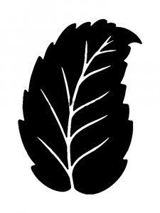Leaf Stencils 32