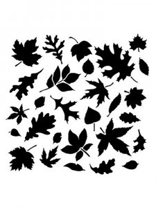 Leaf Stencils 7