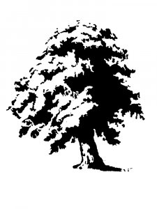 Oak Stencil 3