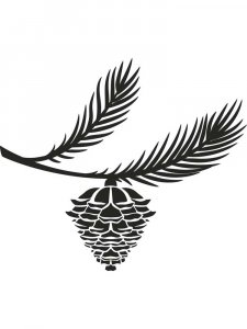 Spruce Branches Stencil 11