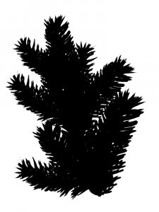 Spruce Branches Stencil 9