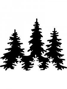 Spruce Stencil 12