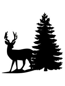 Spruce Stencil 19