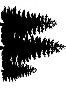 Spruce Stencil 3