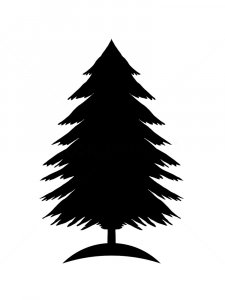 Spruce Stencil 8