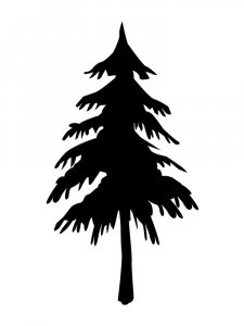 Spruce Stencil 9