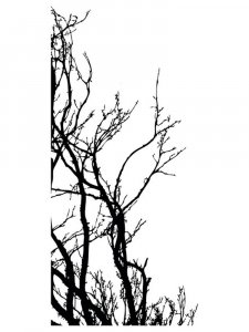 Tree Branches Stencil 11