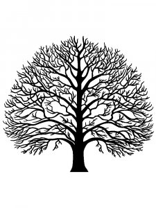 Tree Without Leaves Stencil 4