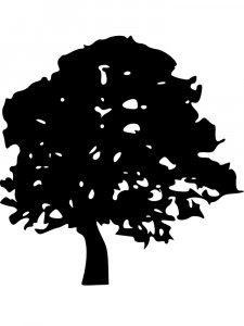 Tree Stencils 1