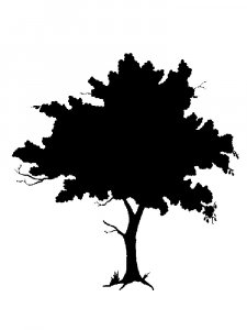 Tree Stencils 15