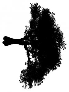 Tree Stencils 9
