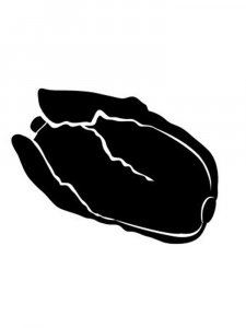 Cabbage Stencil 1
