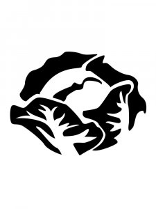 Cabbage Stencil 6