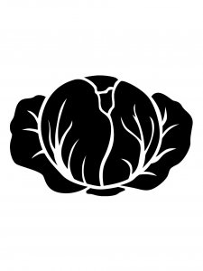 Cabbage Stencil 9