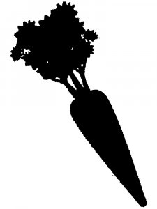 Carrot Stencils 9