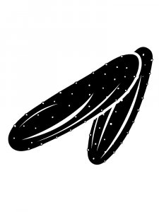 Cucumber Stencil 5