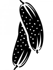 Cucumber Stencil 8